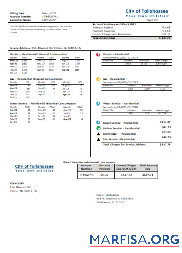 Blank Florida City of Tallahassee Florida Your Own Utilities business bill, SCR template